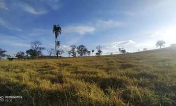Imagem 4: Fazenda 53 alq. em trindade Go. 7 km este.chão R$: 23.850.000