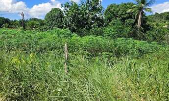 Imagem: Fazenda agricutura e pecuária