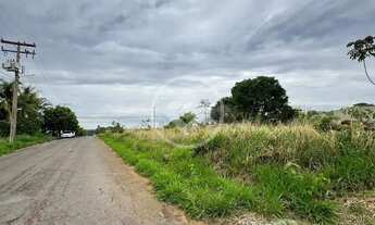Imagem: Cabeça de quadra no ínicio da Avenida