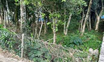 Imagem 5: Terreno à venda em Gramado - Pronto para construir!