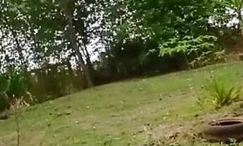 Imagem 2: Chácara com casa confortável e pomar com frutas variadas