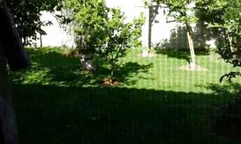 Imagem 5: Chácara para Venda em Ibiúna, Ibiuna, 4 dormitórios, 2 suítes, 1 banheiro, 1 vaga