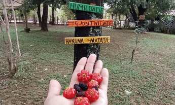 Imagem 5: SÍTIO PARA TEMPORADA