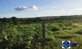 Imagem 4: Fazenda Dupla Aptidão à venda em Montes Claros de Goiás, 144 Alqueires