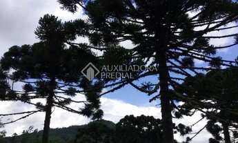 Imagem 5: Propriedade Rural no bairro Serra Grande