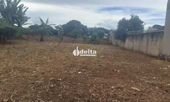 Imagem: Terreno disponível para venda no bairro