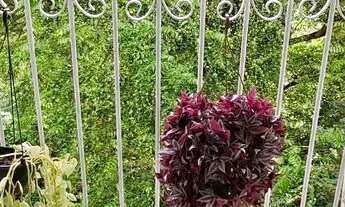 Imagem 5: Aluguel 3/4 Apartamento com 3 dormitórios