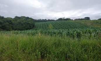 Imagem 6: Chácara à venda, 25.110 m2, Cachoeira - São José dos Pinhais PR