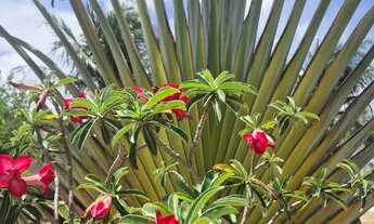 Imagem 14: Casa com estrutura de Pousada na Praia da Taiba