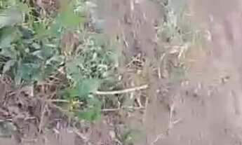 Imagem 3: Vende se um terreno . tamanho 10x30 área plana