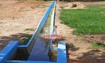 Imagem 7: Fazenda em Cachoeira Alta-GO. (153 Alqueires