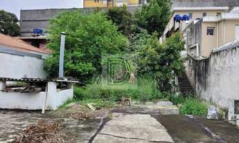 Imagem 4: Terreno à Venda - 516 m² - ZC - Próximo ao Metrô Butantã e USP