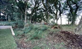 Imagem 4: Terreno - Bairro Quinta da Serra