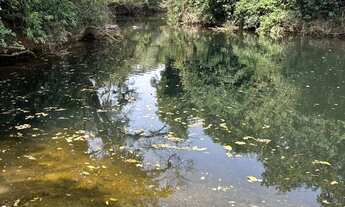 Imagem: Sítio de 4.000 m², com casa, chalé, pomar