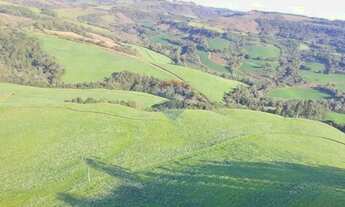Imagem 7: Propriedade Agrícola 57,5 Ha com Ótimo Preço em Três Palmeiras