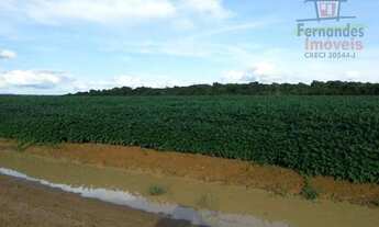 Imagem 5: Fazenda à venda, em Lucas do Rio Verde - 1004 Há R$ 112.500.000 - Zona Rural - Lucas do Ri