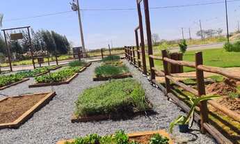 Imagem 5: Imóvel para venda possui 1746 metros quadrados com 3 quartos em Centro - Trindade - GO