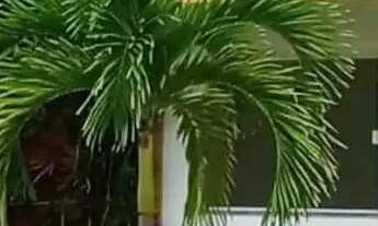 Imagem: Casa solta em condomínio, 4/4 sendo 03