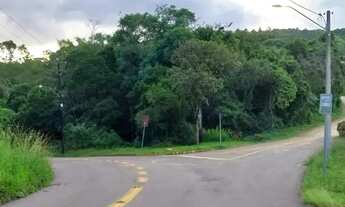 Imagem 4: CAXIAS DO SUL - Terreno Padrão - DESVIO RIZZO