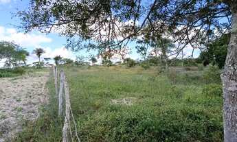 Imagem 2: Terreno para sítio - 6,5 tarefas, próx a Izabel!
