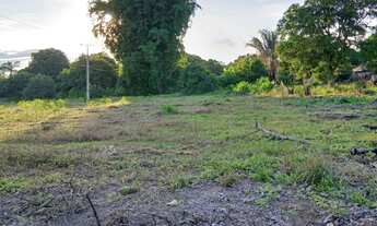 Imagem 5: CHACARA FORMADA. PORTEIRA FECHADA