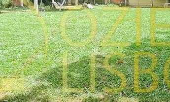 Imagem 4: CHÁCARA 25 HECTARES 25.000 ESCRITURADA 2 CASAS SEDE PISCINA CHURRASQUEIRA DF 180 PLANA 9