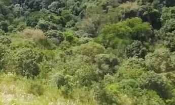 Imagem 3: Lote em condomínio em Alameda dos Canários - Juqueri Mirim - Mairiporã/SP