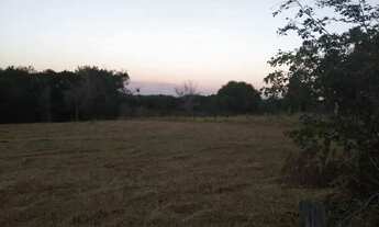 Imagem 2: Lote em Estrada Municipal - São Benedito - São Pedro/SP