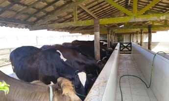 Imagem 5: Terreno fazenda Real IV