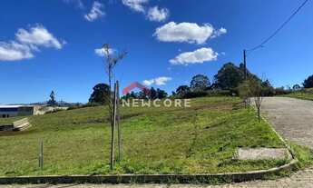 Imagem 6: Lote em Avenida Benjamin Constante - Santa Isabel - São Francisco de Paula/RS