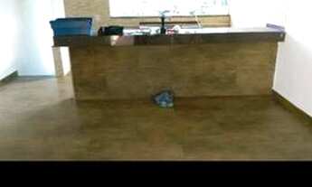 Imagem 2: Oportunidade aluga se