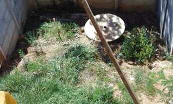 Imagem 4: Oportunidade aluga se