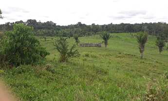 Imagem 4: Fazenda na BR 364 Manoel Urbano