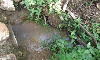 Imagem 6: Linda chácara de 2.500 m², com nascente a 100 metros do Rio Cipó (Temos varias opções)