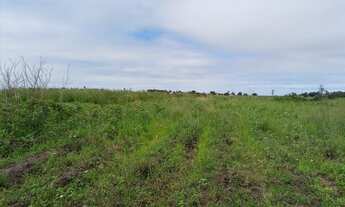 Imagem 6: Granja com 8,5 hectares