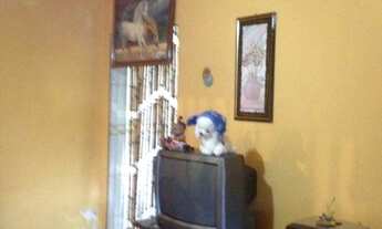 Imagem 7: Casa residencial à venda, Florianópolis, Jaguariúna