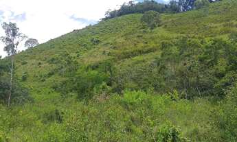 Imagem 2: Sítio em Bias Fortes MG