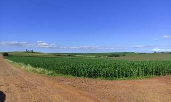 Imagem 5: Venda Fazenda / sítio com venda por R$6.000.000