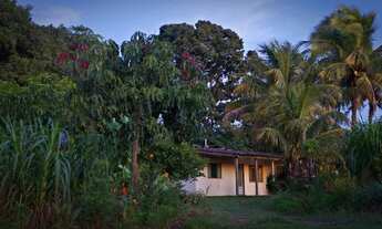 Imagem 5: Chácara 24 mil m² em Indianópolis - Paraná