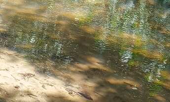 Imagem: Sítios e chácaras em Anápolis