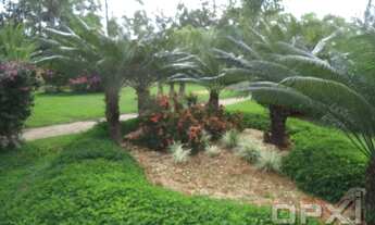 Imagem 6: Rio de Janeiro - Terreno Padrão - Recreio dos Bandeirantes