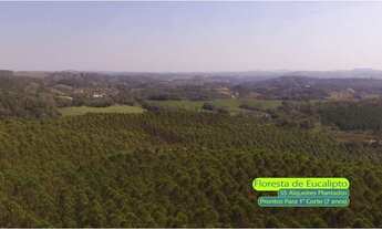 Imagem 3: Excelente Fazenda com 93 Alqueires em Capão Bonito