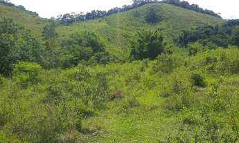 Imagem 3: Sítio em Bias Fortes MG