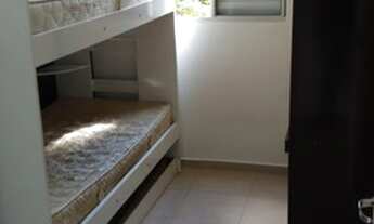 Imagem 7: Spazio Bromelias