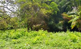 Imagem 3: Fazenda/Sítio/Chácara para venda tem 4800 metros quadrados, quase 1/2 hectare