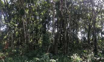 Imagem 4: Terreno à venda, 384 m² por R$ 65.000 - Praia do Imperador - Itapoá/SC