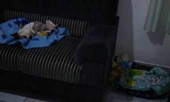 Imagem 7: Apto 2 dormitórios com 60 metros, 01 vaga de garagem,andar alto c elevador, localização ex