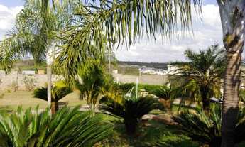 Imagem 2: Spazio Bromelias