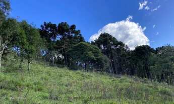 Imagem 4: Terreno Rural Urubici de 2 hectares