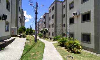 Imagem 5: Maceió - Apartamento Padrão - Petrópolis